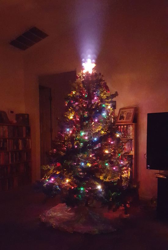 Christmas Tree 2015!