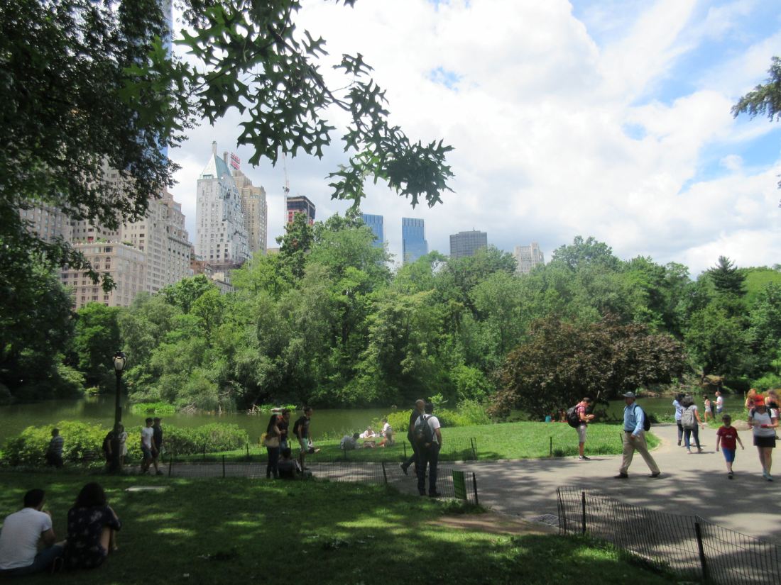 2016 NYC Trip Photos #5: Central Park Walkathon « Midlife Crisis Crossover!