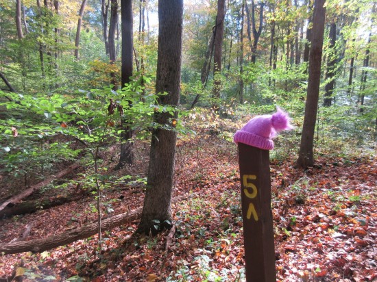 trail 5 pink hat!