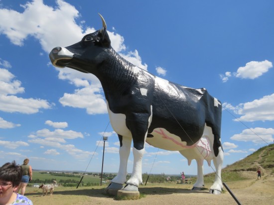 Salem Sue, World's Largest Holstein Cow!