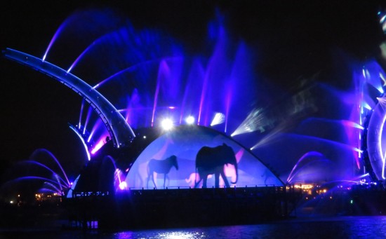 blue purple fountains lights silhouettes of zebra and elephant in profile